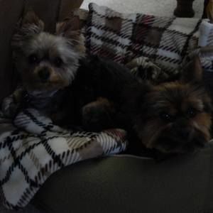 Meet your Posher, Karen